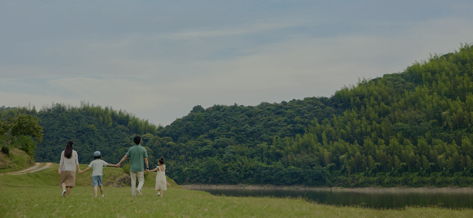 国家限/禁塑令的以及快递行业鼓励使用环保材料